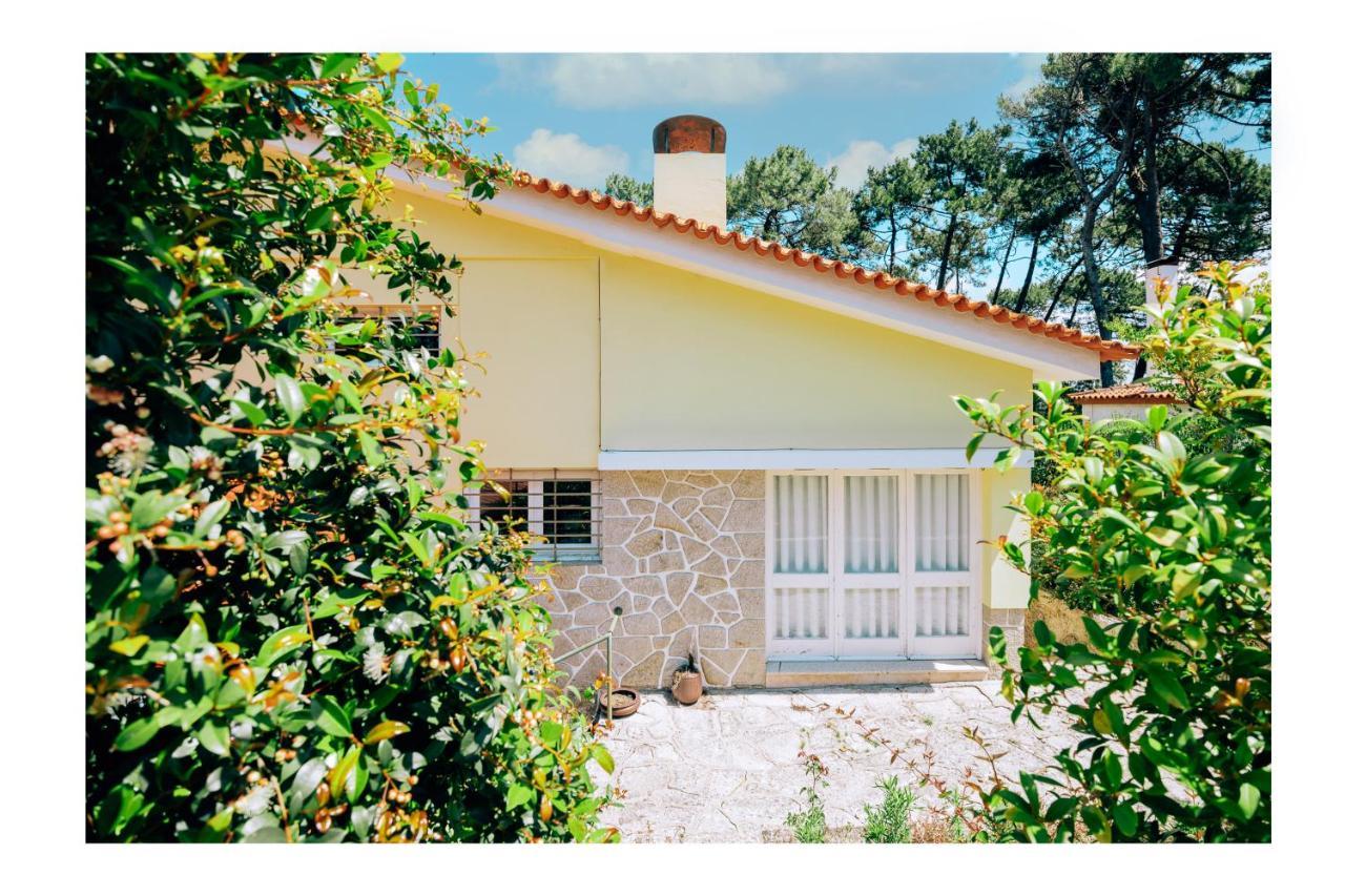 Regina Surf Houses - Cabedelo Beach 维亚纳堡 外观 照片